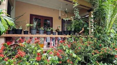 Elephant bungalow at Ya Nui beach – Fotos 12